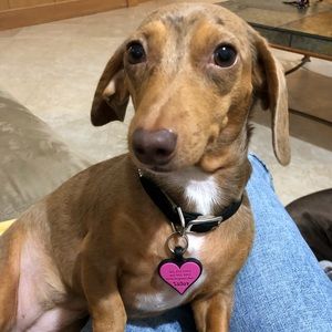 Meet your Posher, Dori